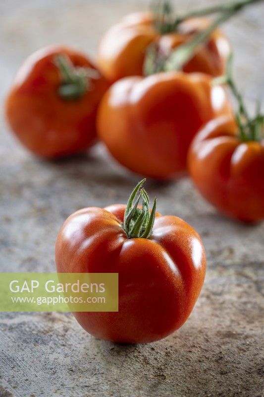Tomato 'Country Taste' F1 - Beefsteak tomato - Solanum lycopersicum