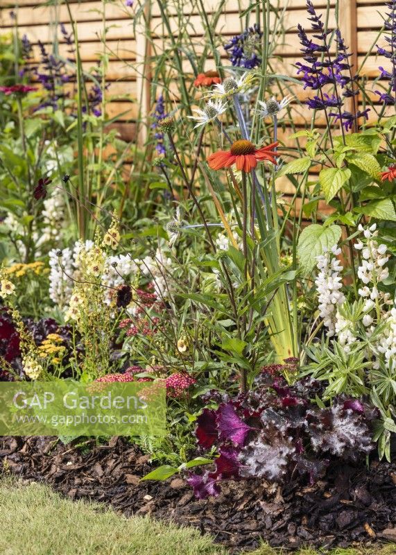 Colorful perennial planting, summer July