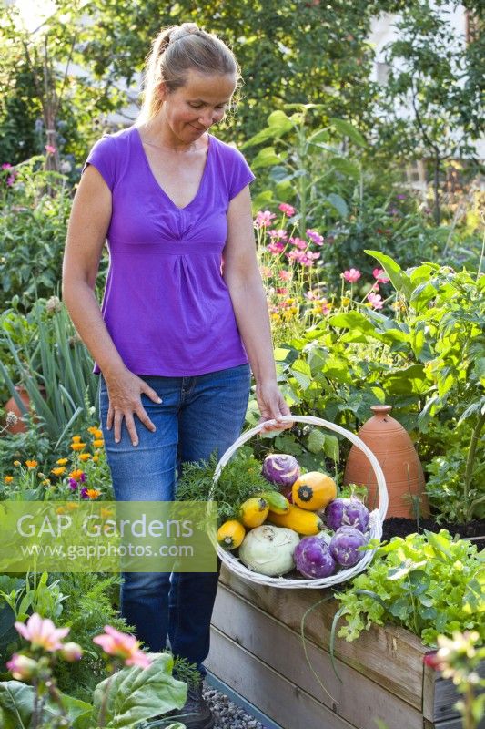 Woman with harvested vegetables - kohlrabi and courgettes.