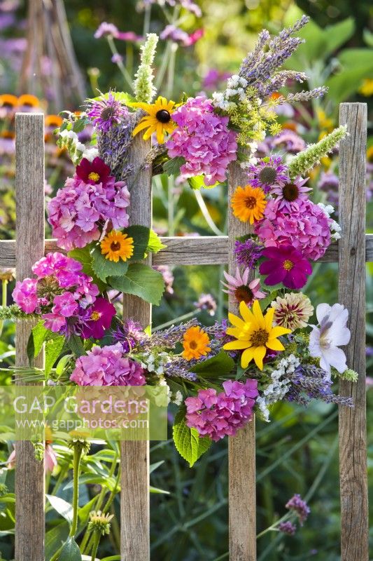 Summer flower wreath containing hydrangea, rudbeckia, cosmos, pot marigold, sunflower, lavender, echinacea, statice, monarda and agastache.