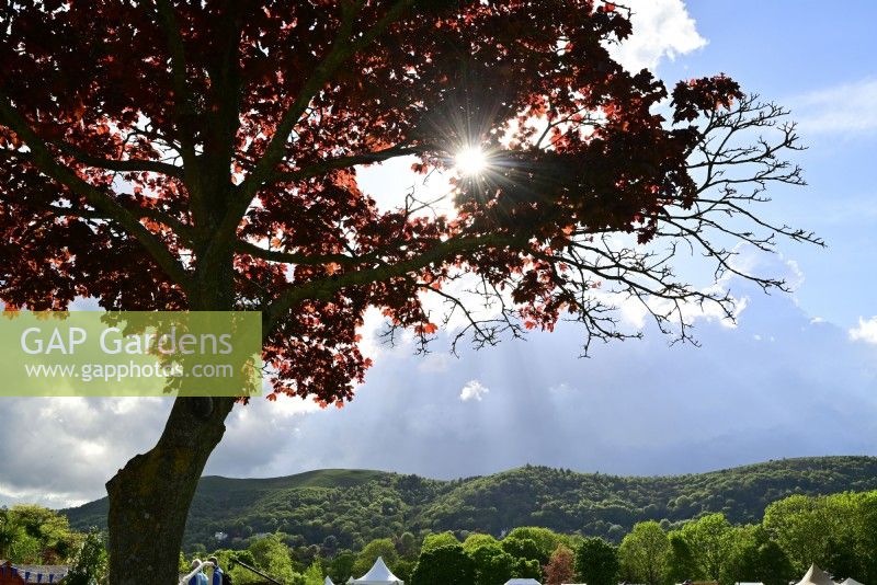 Area of Three Counties Showground with the backdrop of the Malvern Hills during RHS Malvern Spring Festival 2023. May