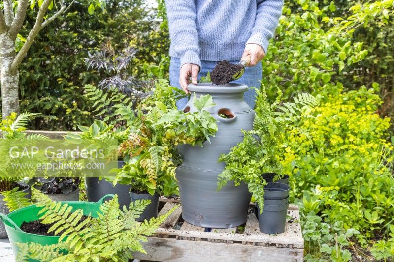 Woman filling the planter with compost