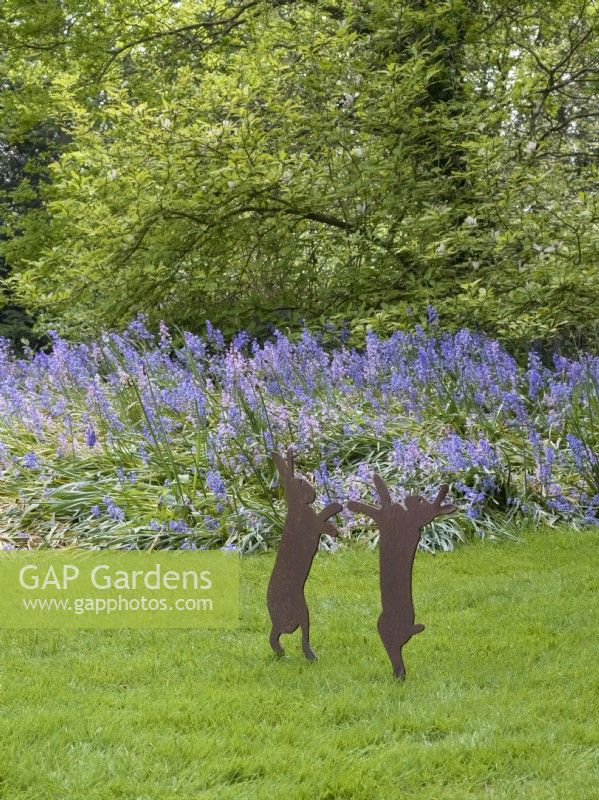 Hare ornaments in lawn in front of bluebells