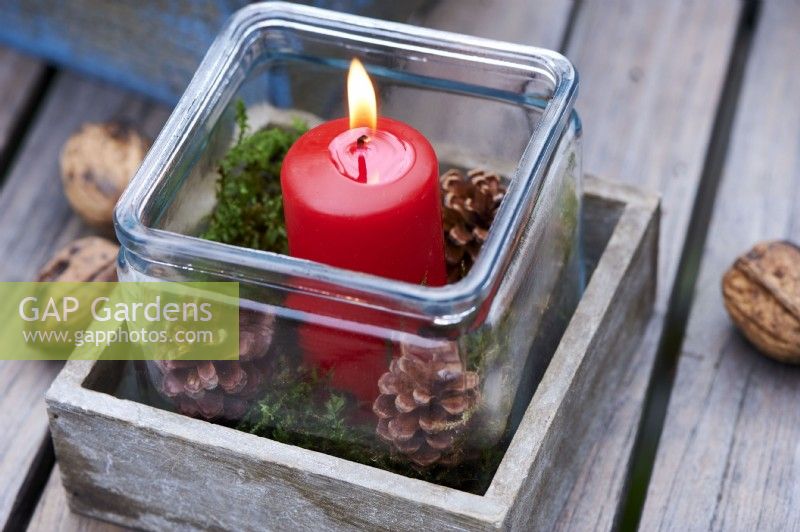 Table arrangement of a red candle in a wooden box and surrounded by wallnuts