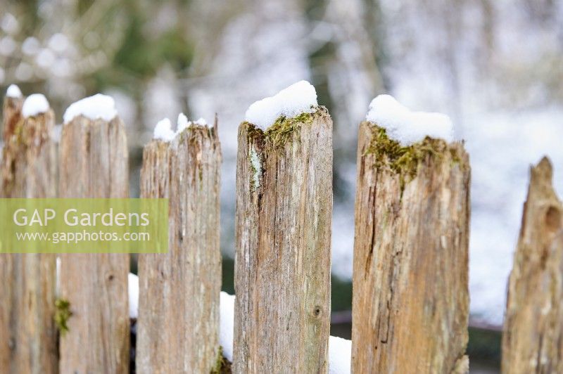 Snow covered fence