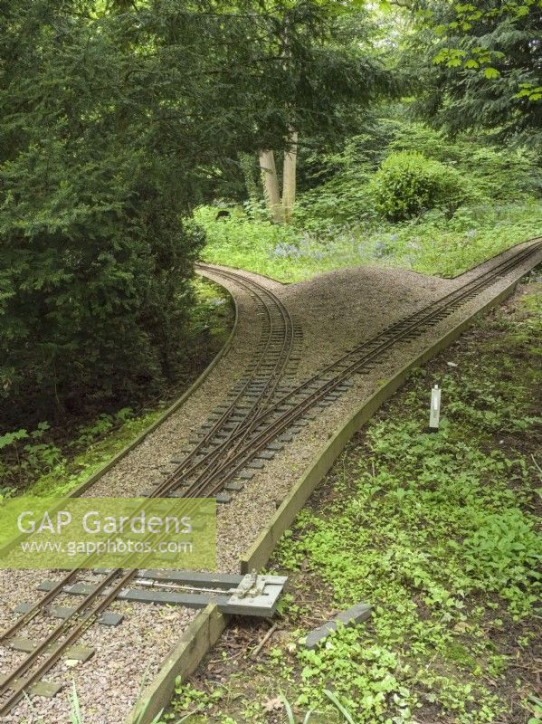Miniature railway running through woodland garden