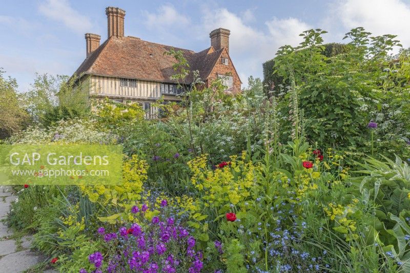 View of a mixed planting of perennials and shrubs in an informal country cottage garden border in Summer - May