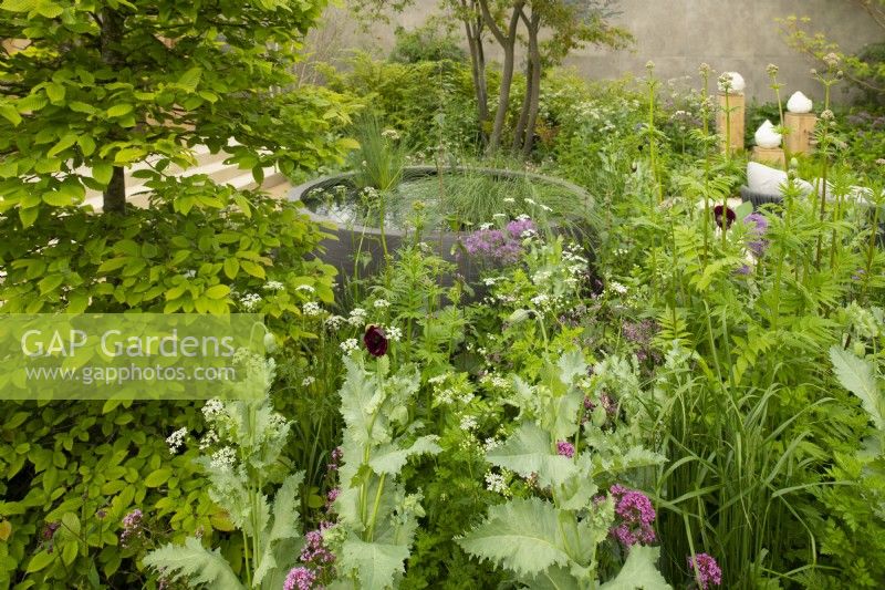 A circular water feature surrounded by herbaceous plants in the RBC Brewin Dolphin Garden at the RHS Chelsea Flower Show 2023