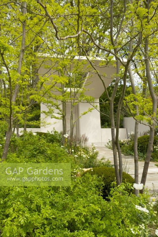 A tall pavilion above trees and planting in the Memoria  and  GreenAcres Transcendence Garden, a show garden designed by Gavin McWilliam and Andrew Wilson at the RHS Chelsea Flower Show 2023