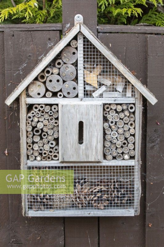 Garden bug box mounted on a fence with mud filled canes