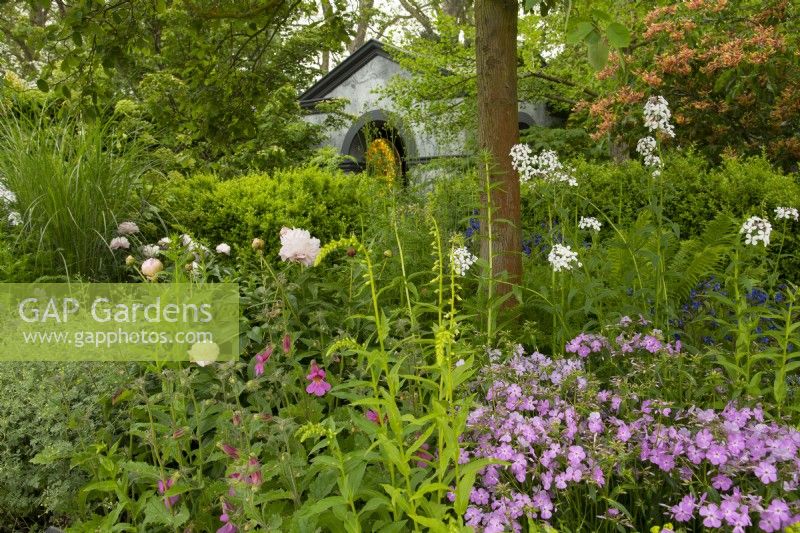 A herbaceous border of Phlox carolina 'Bill Baker',  Hesperis matronalis and Paeonia lactiflora 'Monsieur Jules Elie' in front of a neo classical temple in the Myeloma  UK - A Life Worth Living Garden designed by Chris Beardshaw at the RHS Chelsea Flower Show 2023.