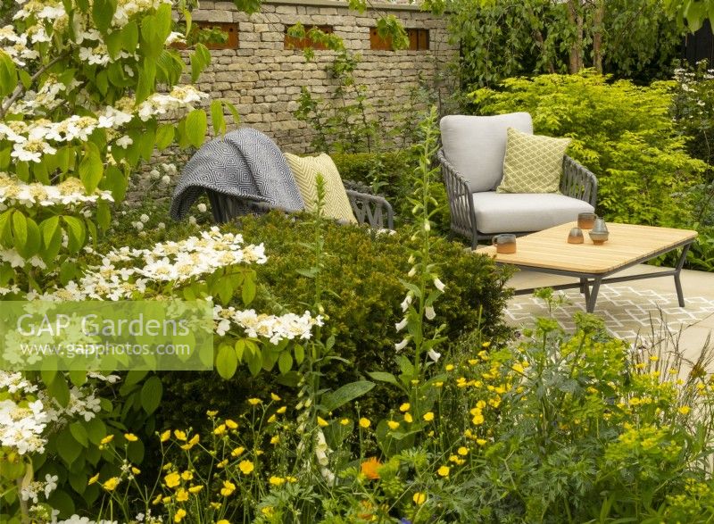 A seating area surrounded by Taxus baccata, Viburnum opulus, Rununculus repens and a stone wall in the RSPCA Garden a sanctuary garden designed by Martyn Wilson at the RHS Chelsea Flower Show 2023
