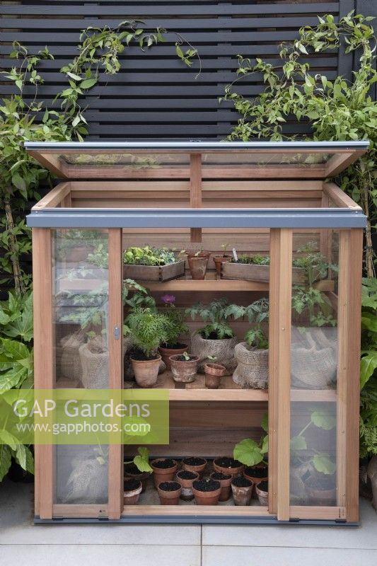 A cedarwood upright coldframe on the Gabriel Ash stand at RHS Chelsea Flower Show 2023