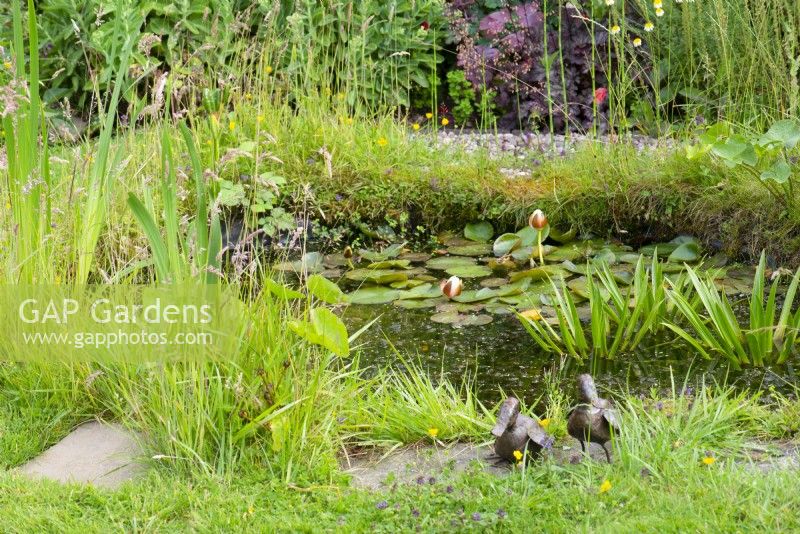 Small natural wildlife garden pond In June