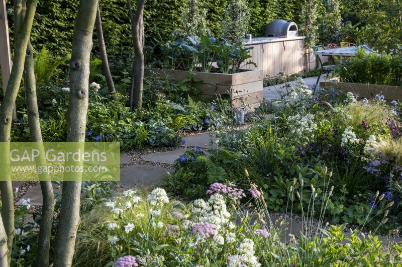 Looking over Aquilegia vulgaris 'Greenapples', Centranthus ruber Albus, Stipa tenuissima and Achillea millefolium to the communal area with vegetables growing in raised beds surrounding a large garden table.London Square Community Garden, Gold winner. Designer: James Smith
