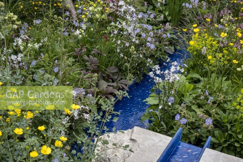 Blue rill made from reycled plastic is surrounded by wild flowers including: Lychnis flos-cuculi 'White Robin', Geranium pratense and Ranunculus acris. The RSPCA Garden, Designer: Martyn Wilson.