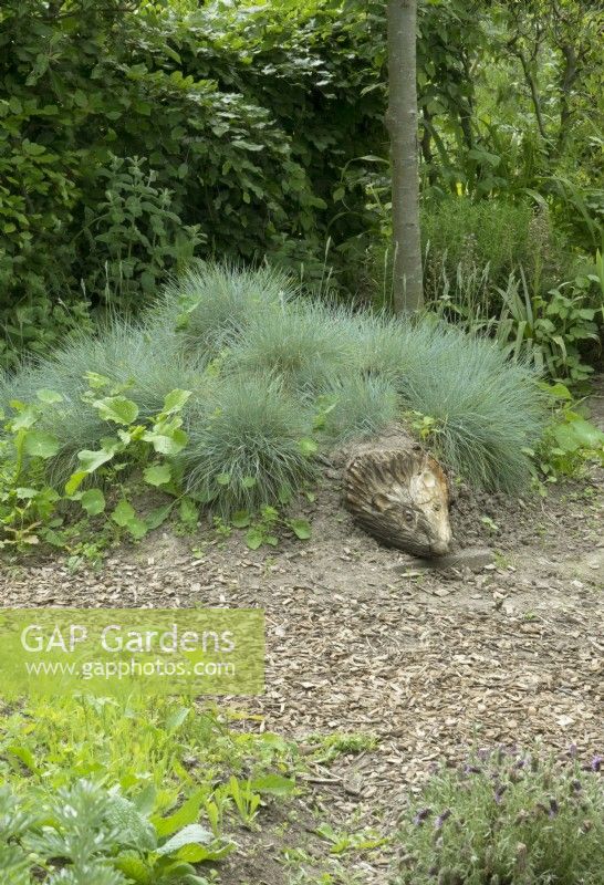 Hedgehog made with sculpted head and planted with Carex comans