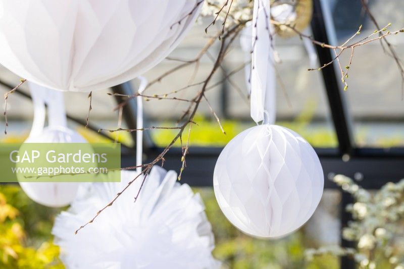 Hanging paper pom poms in greenhouse