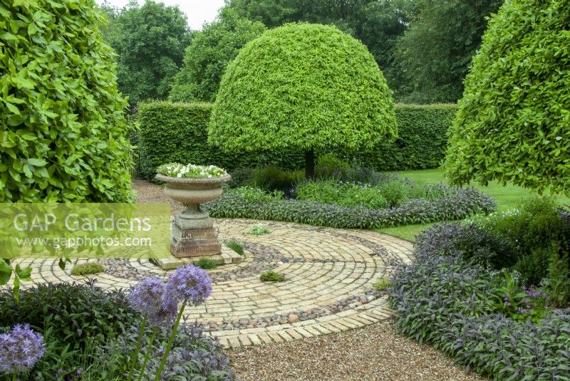 Viburnum tinus trees clipped to shape in beds of perennials bordered by Purple Sage - Salvia officinalis 'Purpurascens' - with ornamental circle of brick and stone construction and planted urn - Open Gardens Day, Waldringfield, Suffolk