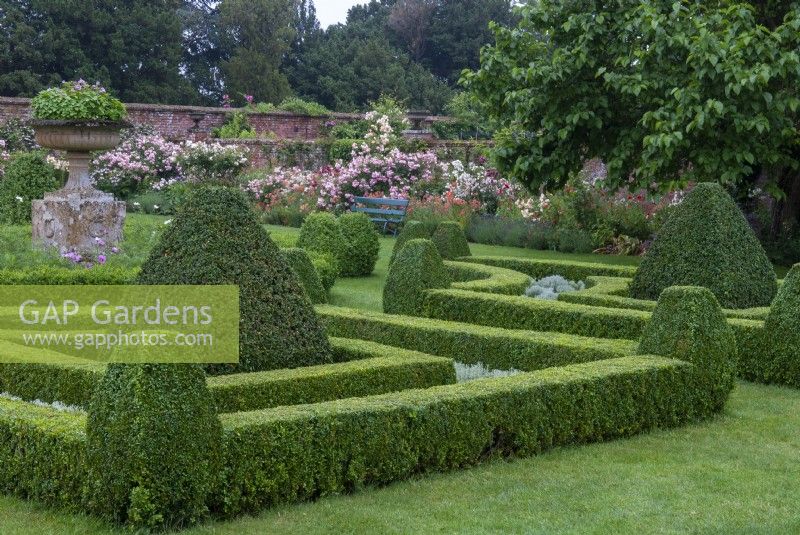 Buxus - Box - clipped and forming low hedging and shapes in a classical parterre style, with raised planted urn and deep border of Roses and other herbaceous plants in background - Helmingham Hall, Suffolk