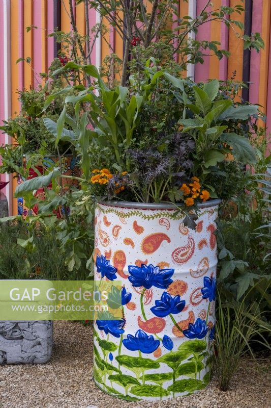Tagetes patula, salad leaves and sweet corn growing in an upcycled oil drum on the RHS and Eastern Eye Garden of Unity. Designer: Manoj Malde