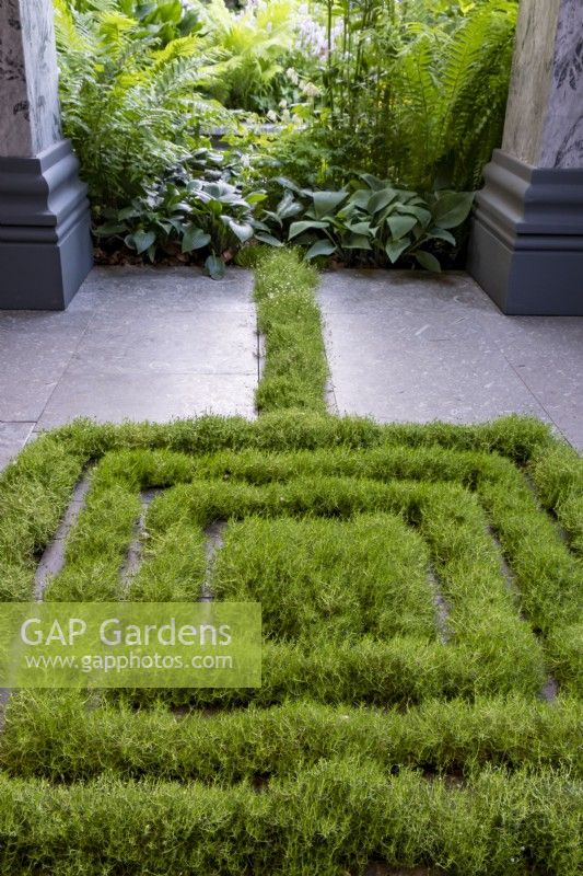 A labyrinth created from Sagina subulata - Irish Moss in the paving on the Myeloma UK - A Life Worth Living Garden, Gold winner. Designer: Chris Beardshaw
