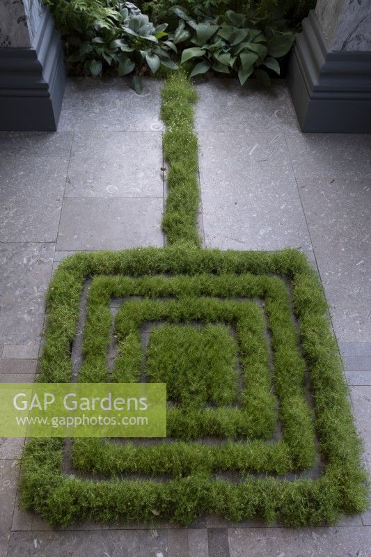 A labyrinth created from Sagina subulata - Irish Moss Myeloma UK - A Life Worth Living Garden, Gold winner. Designer: Chris Beardshaw