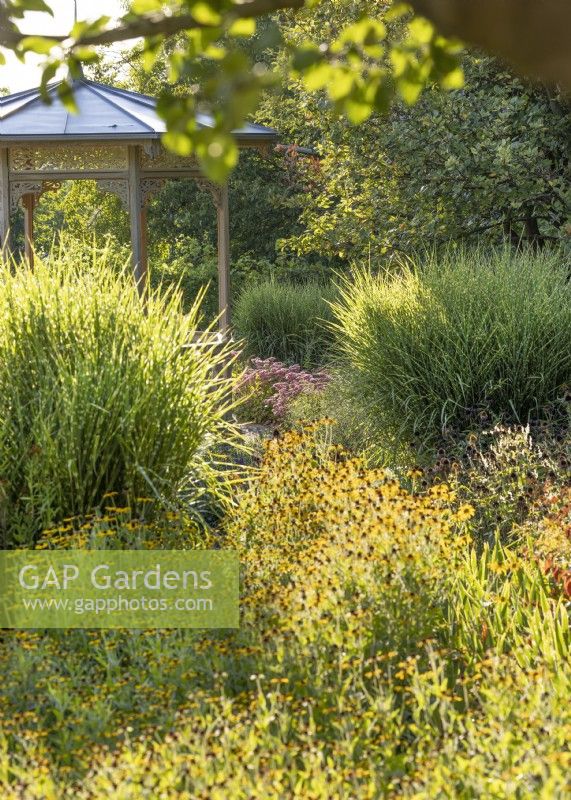 Planting with perennials and ornamental grasses, summer July