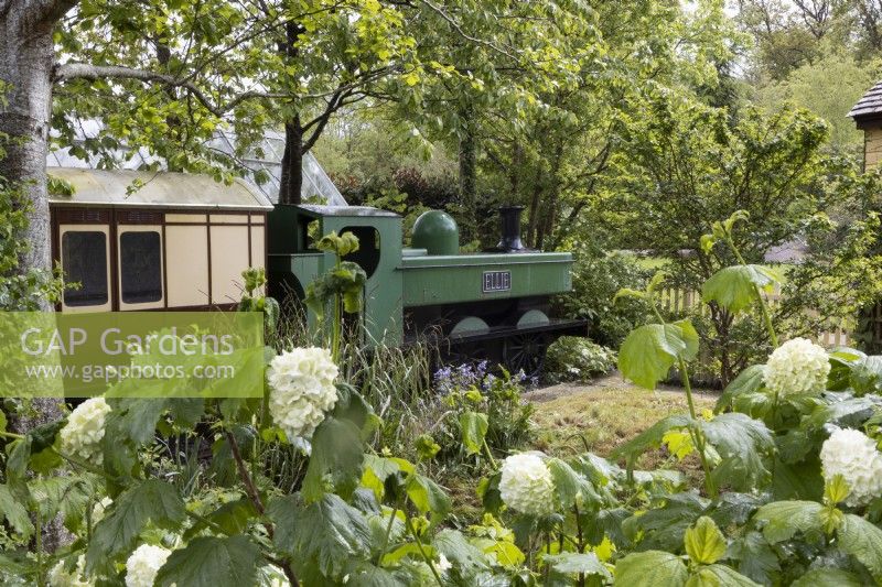 The Railway Children garden with a steam train and carriage, surrounded by trees and shrubs. Recreated from the Hampton Court RHS Gold Medal Show Garden/Best in Show 1997. Trago Mills show gardens, Devon, UK. May. Spring