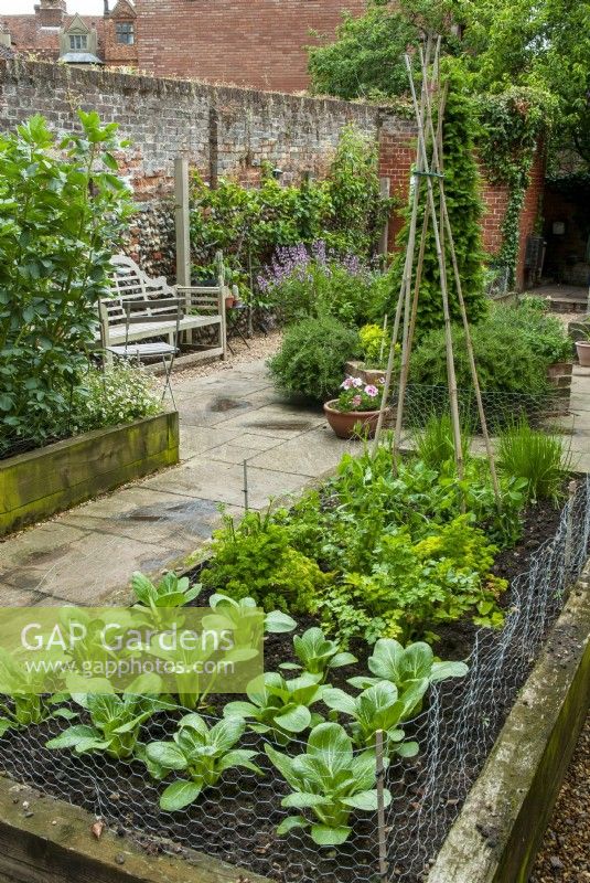 Raised beds of vegetables, herbs and plants in courtyard with wooden seat - Hidden Gardens Day, Woodbridge, Suffolk