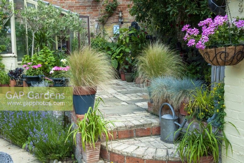 Courtyard patio with steps to lower level, container planting and hanging basket - Open Gardens Day, Coddenham, Suffolk