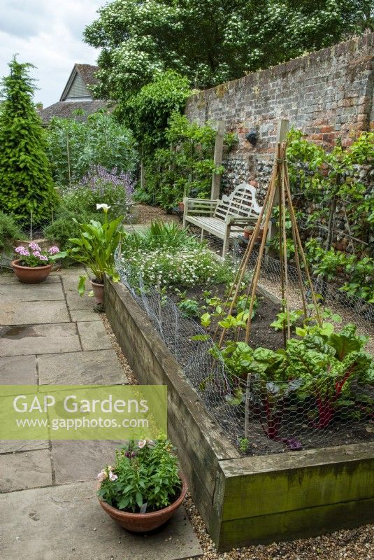 Raised bed of vegetables in enclosed courtyard with espalier fruit trees on wall and wooden seat - Hidden Gardens Day, Woodbridge, Suffolk