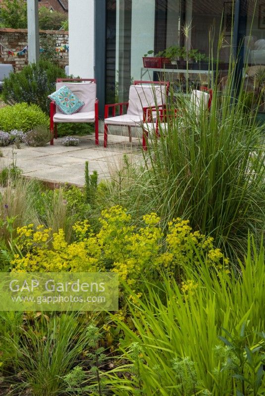 View across border of assorted ornamental grasses and spurge to patio and red chairs beyond - Open Gardens Day, Nacton, Suffolk