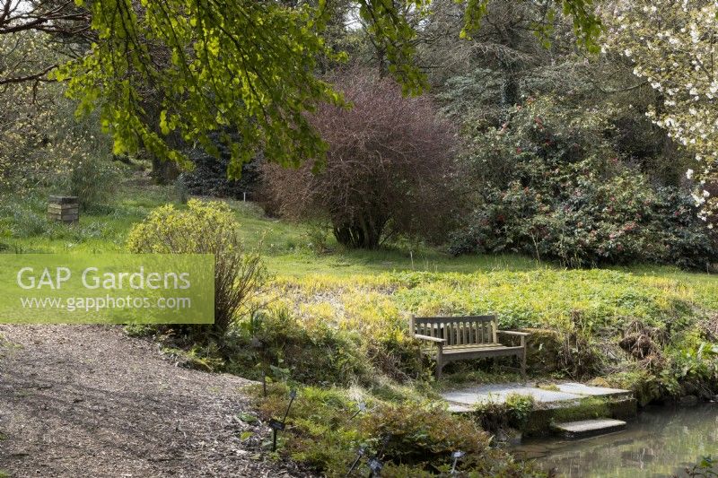 A wooden bench at the side of a lake with established trees behind. Marwood Hill Gardens, Devon. Spring. May.