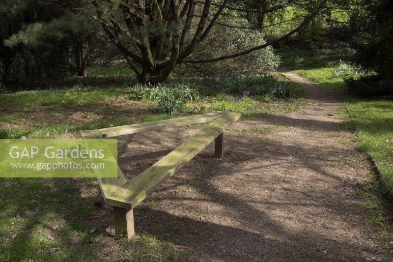 A triangular wooden bench at the side of a path in a wooded garden. Marwood Hill Gardens, Devon. Spring. May.