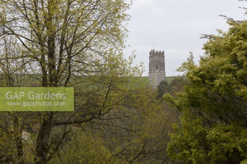 A view above trees with varying degrees of emerging spring foliage to a church tower. Marwood Hill Gardens. Spring. May. 