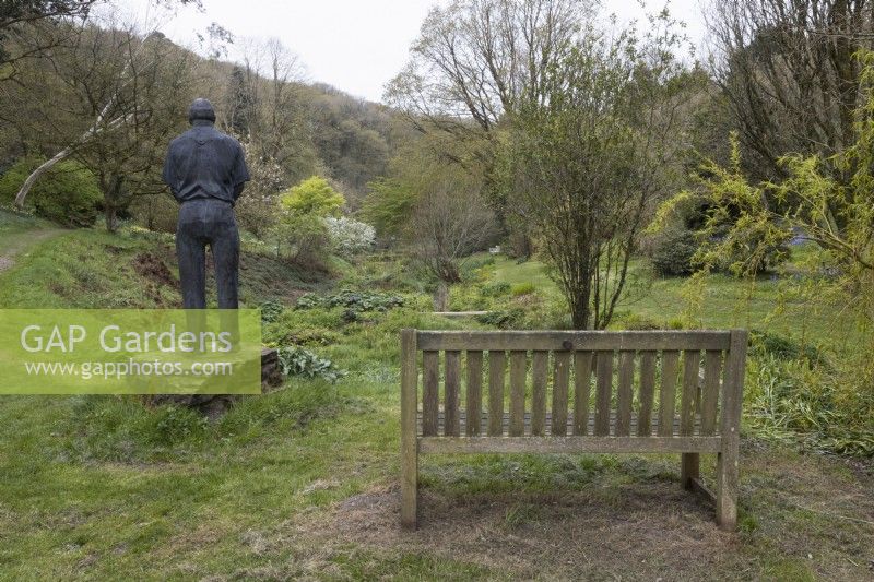 A wooden bench is beside a statue of a man looking out at a view of a bog garden in a valley with various established trees in the background. Marwood Hill gardens. Spring. May. 