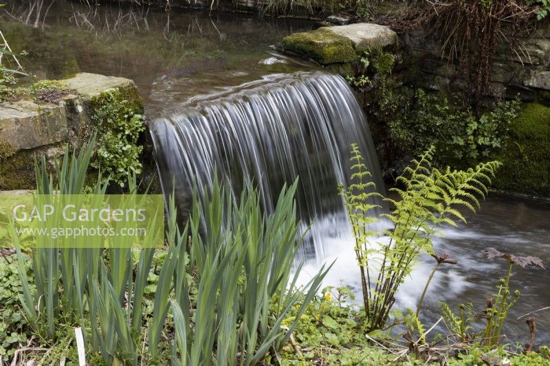 A manmade waterfall with a fern. Marwood Hill gardens. Devon. Spring. May. 