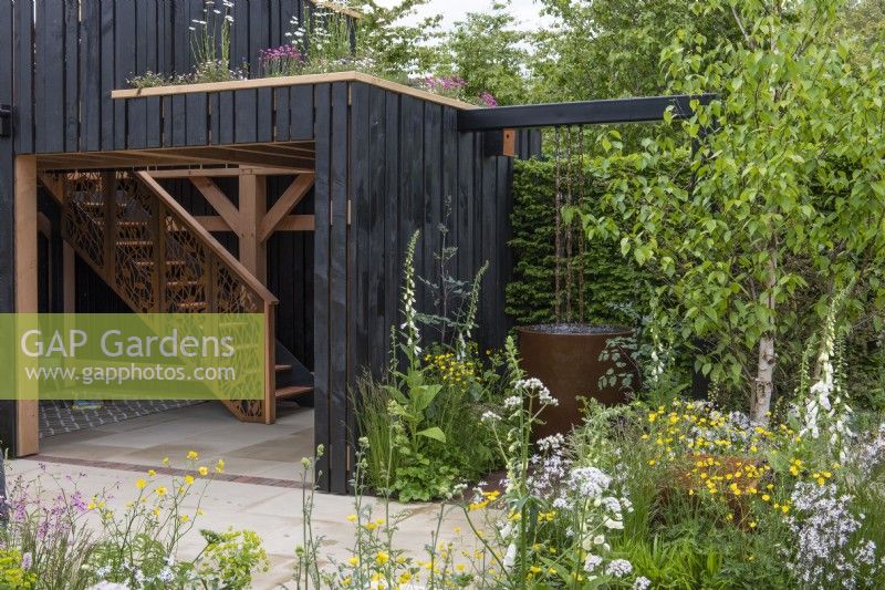 A rain chain and barrel is tucked away amongst wildlife friendly perennials, beside a garden building with a living green roof planted with sea pinks and daisies.