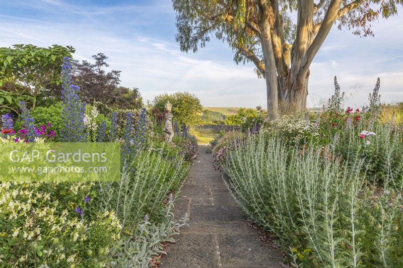 View of mixed perennials and shrubs borders either side of a stone path in an informal country cottage garden in Summer - June