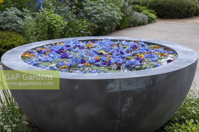 Flowers from larkspur and violas float on the surface of a contemporary water bowl.