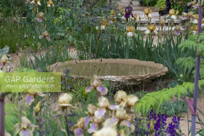 A still water bowl, cast from waste aggregrate, is surrounded in Benton irises bred by Cedric Morris, a great British plantsman.