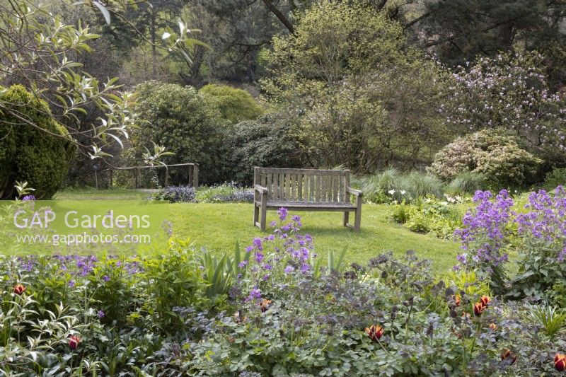 A wooden bench on a lawn between trees and a mixed herbaceous border. Marwood Hill gardens, Devon. Spring. may. 