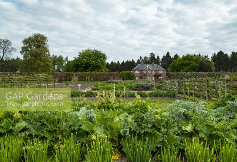 Vegetable beds in the kitchen garden and the garden cottage in the Gordon Castle Walled Garden.