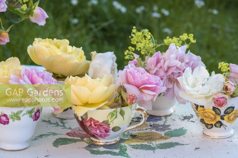 Pink and yellow roses displayed in vintage rose patterned china teacups on tray