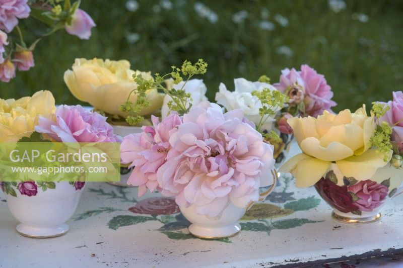 Pink and yellow roses displayed in vintage china teacups on painted tray