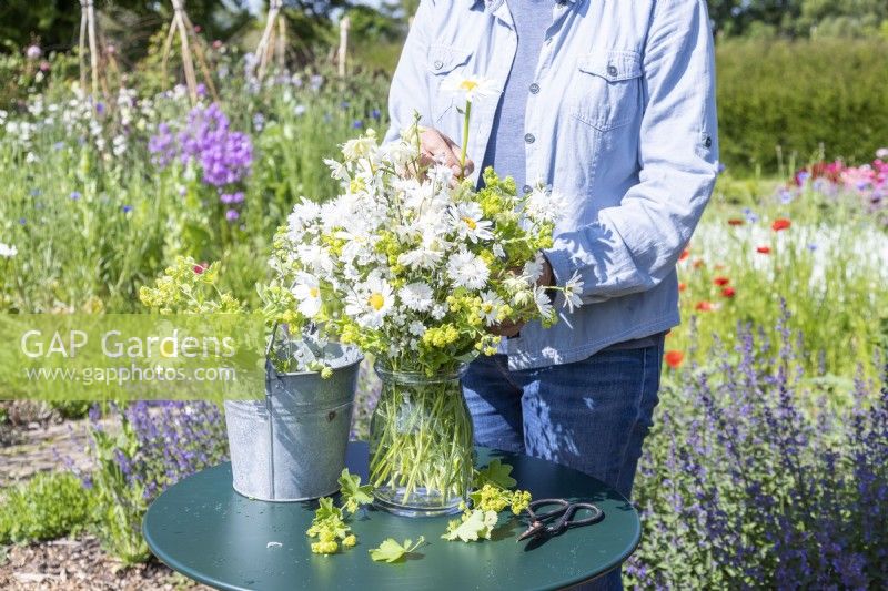 Woman arranging a bouquet of flowers containing Alchemilla mollis, Centaurea 'Ball White', Omphalodes 'Little Snow White', Leucanthemum vulgare and Aquilegia 'Lime Sorbet'
