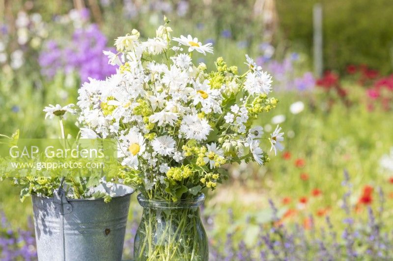 Bouquet of flowers containing Alchemilla mollis, Centaurea 'Ball White', Omphalodes 'Little Snow White', Leucanthemum vulgare and Aquilegia 'Lime Sorbet' in a glass vase