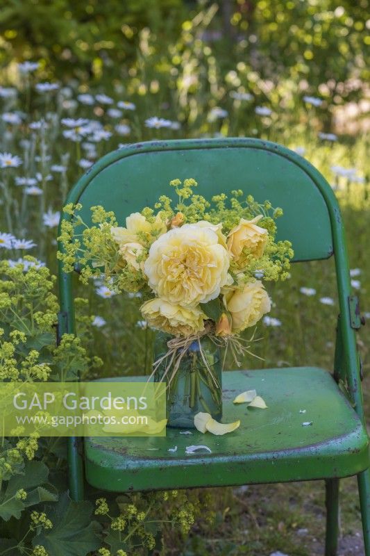 Buff yellow roses with Alchemilla mollis in glass jar on green metal chair