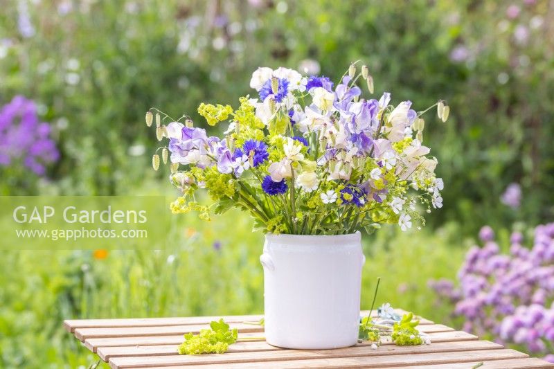 Bouquet of flowers containing Gypsophila elegans 'Covent Garden', Alchemilla mollis, Lathyrus 'Blue Ripple' and 'High Scent' and Briza maxima